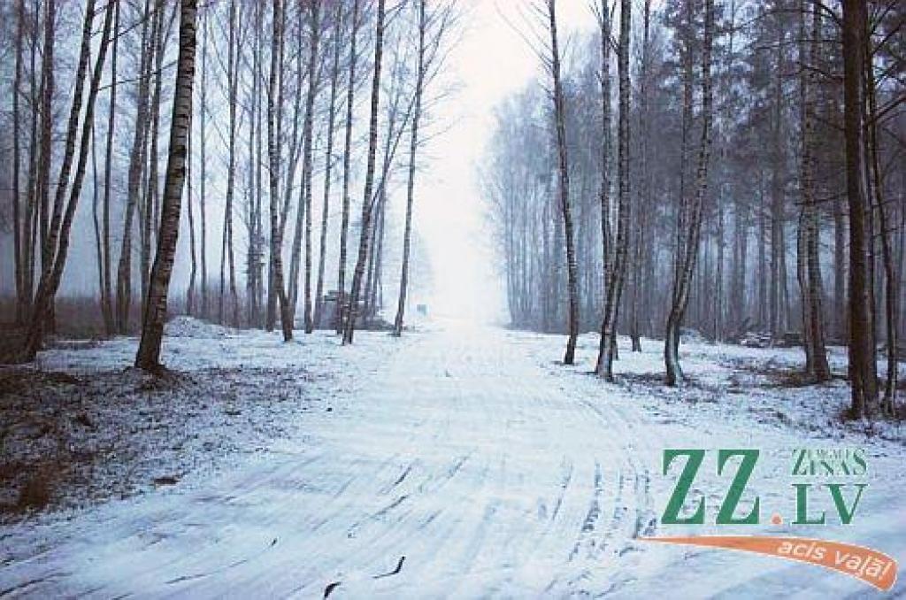 Autors: no ZZ arhīva