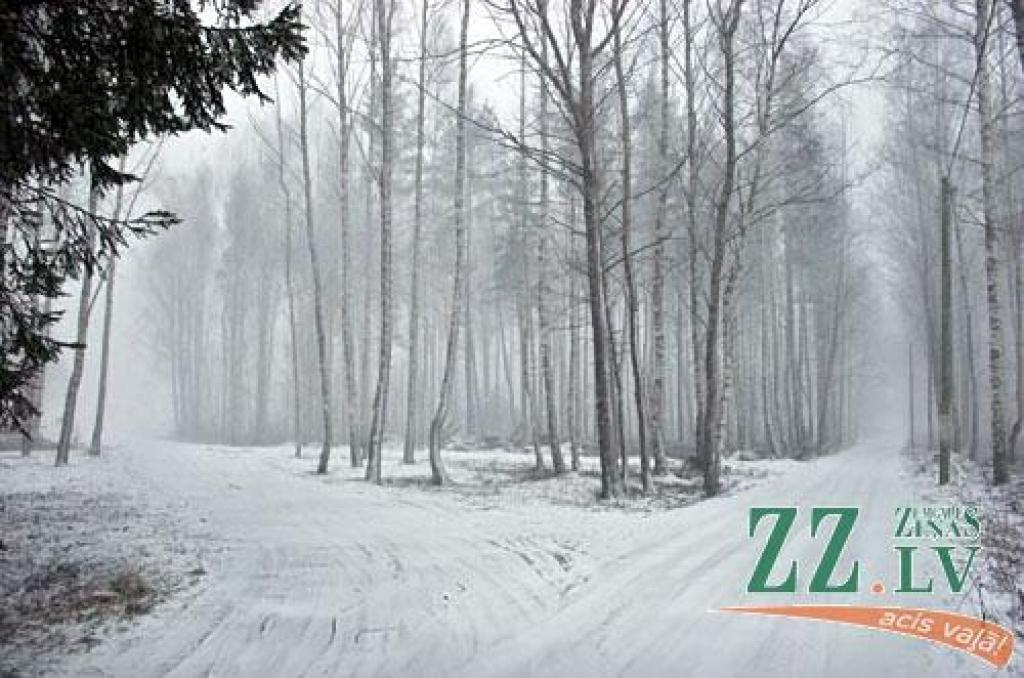 Autors: no ZZ arhīva