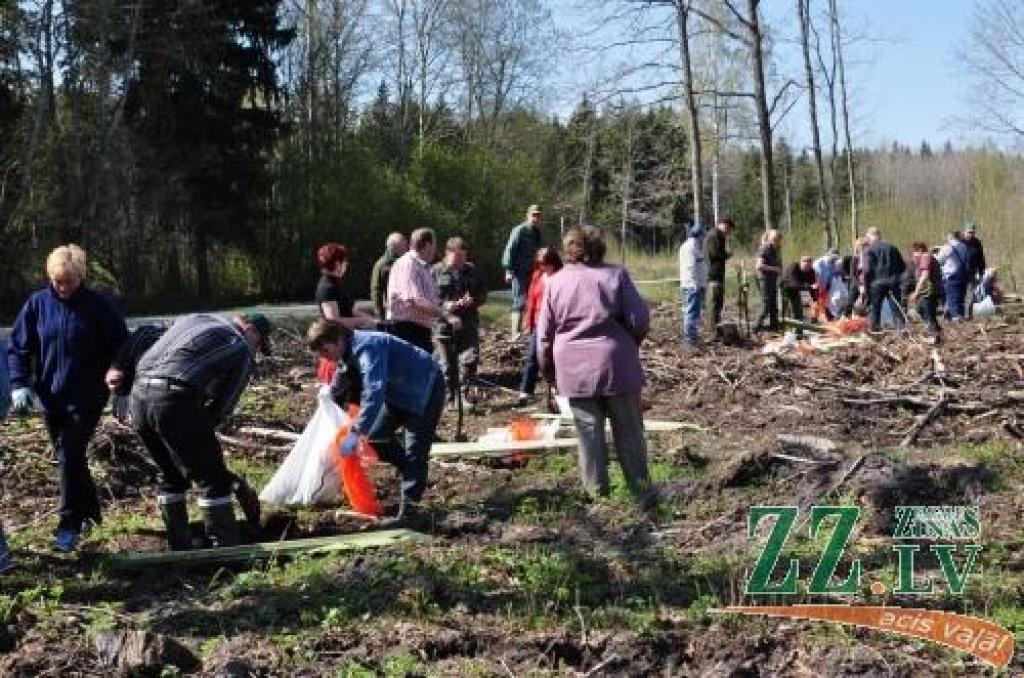Autors: Dace Kaņepone