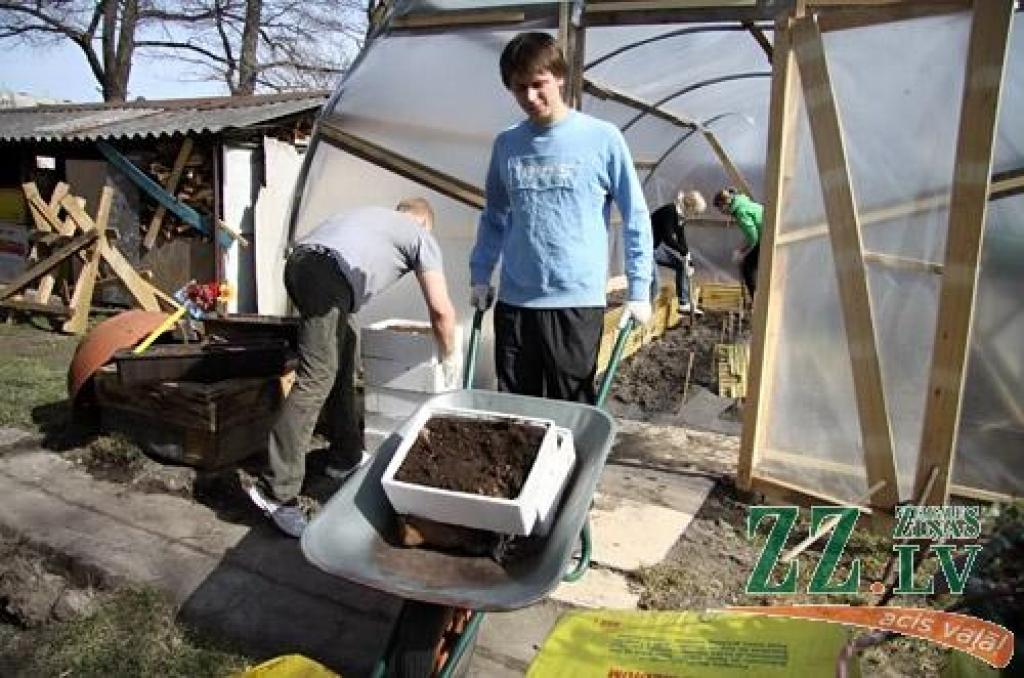 Autors: Agris Samcovs