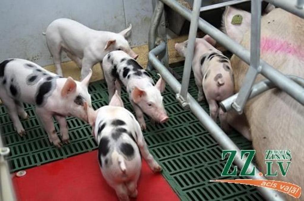 Autors: Agris Samcovs