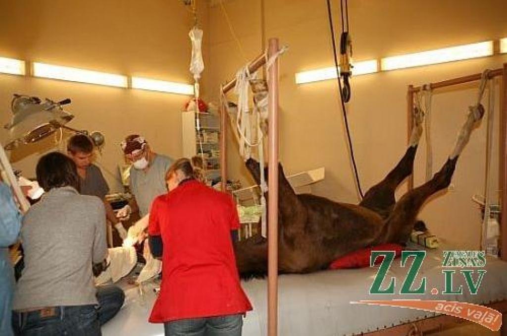 Autors: Publicitātes foto