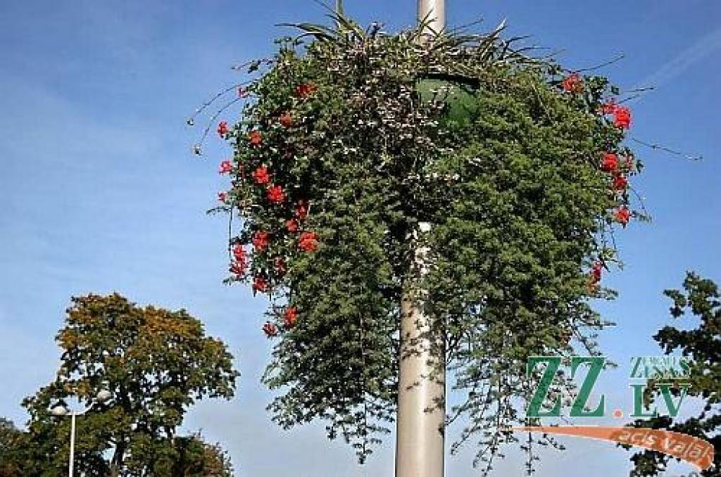 Autors: Agris Samcovs