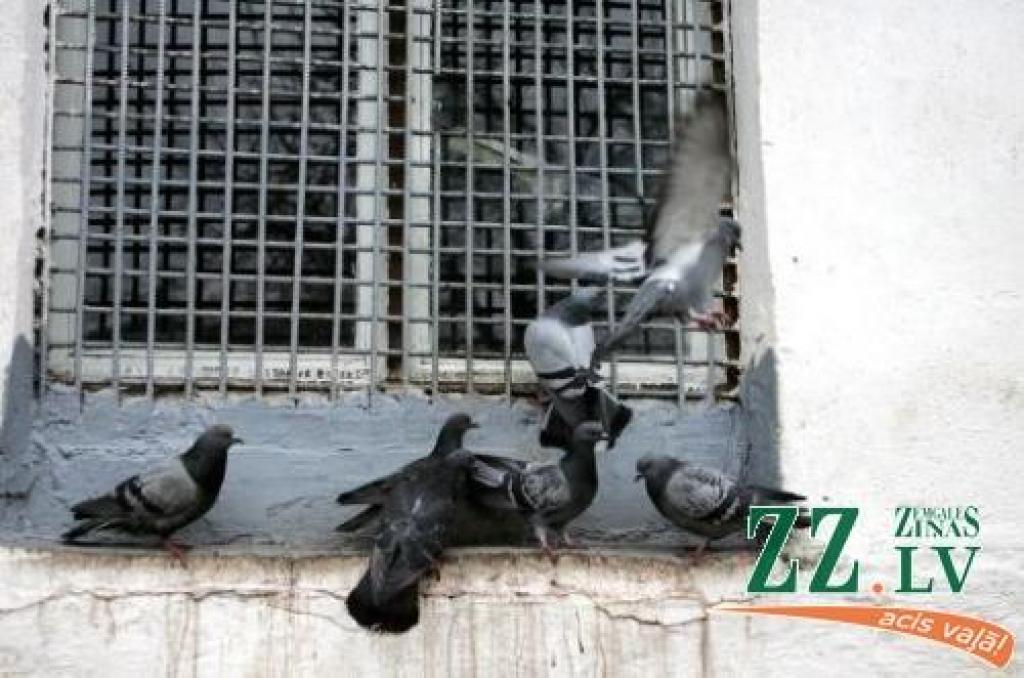 Autors: no diena.lv