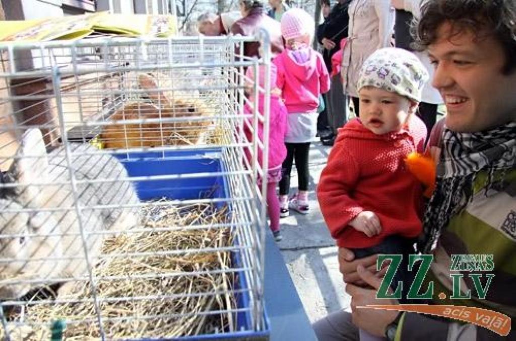 Ikgadējā Lieldienu pastaiga, kas Jelgavas pils parkā notika jau astoņpadsmito reizi, jaukajā pavasara laikā pulcēja daudz interesentu. Šūpošanās un olu ripināšana, radošās darbnīcas, atrakcijas un konkursi – šādas izklaides piedāvāja...