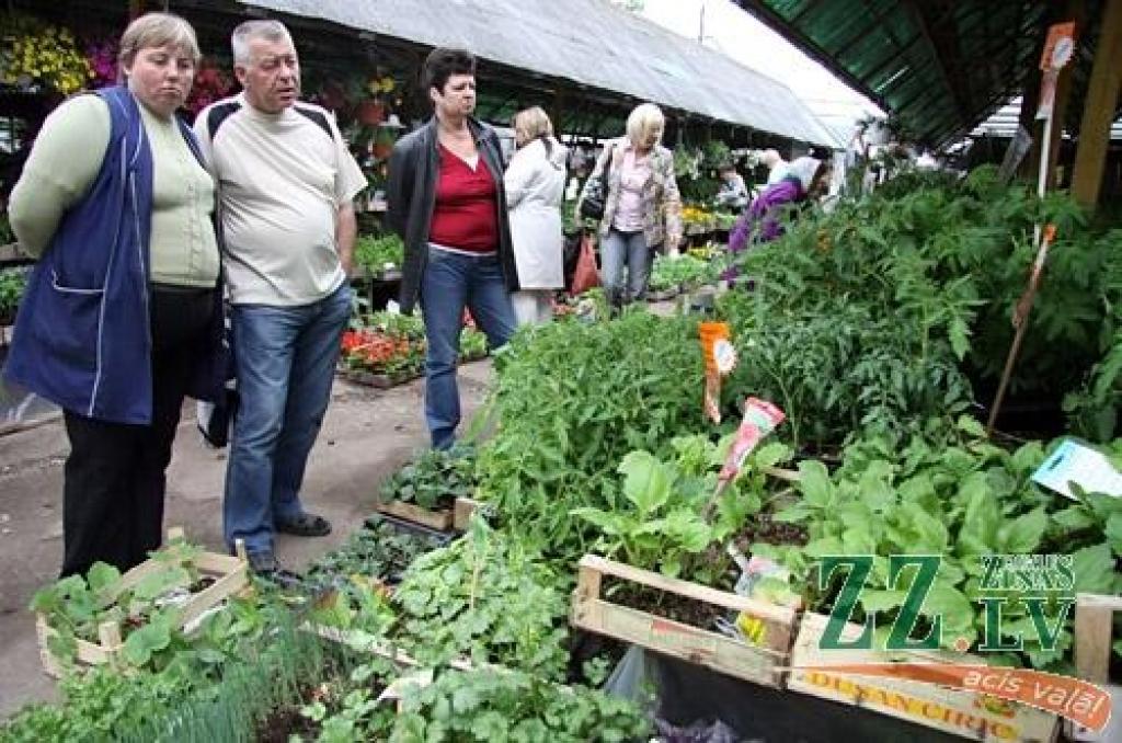 Jelgavas tirgus.
Autors: Agris Samcovs