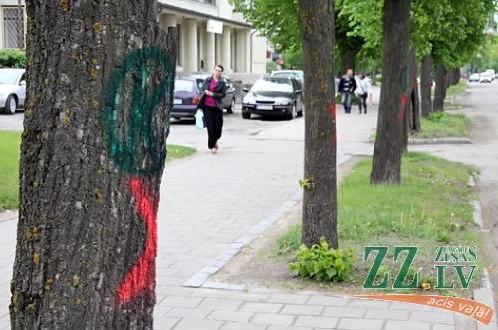 Autors: Agris Samcovs