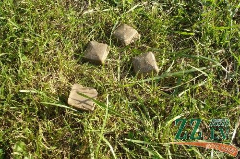 Autors: Pārtikas un veterinārais dienests