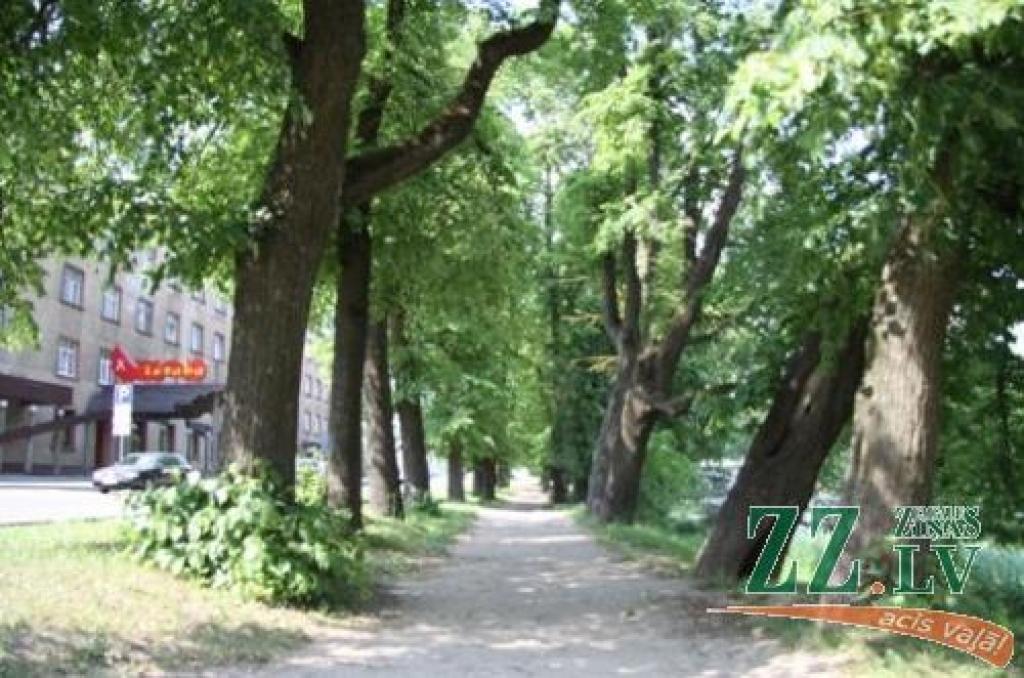 Autors: Armands Lazdiņš