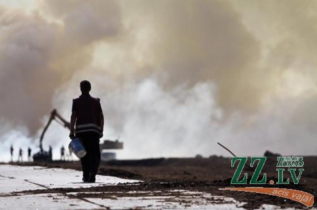 Autors: Armands Lazdiņš