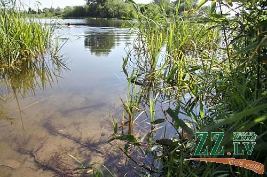 Autors: Agris Samcovs