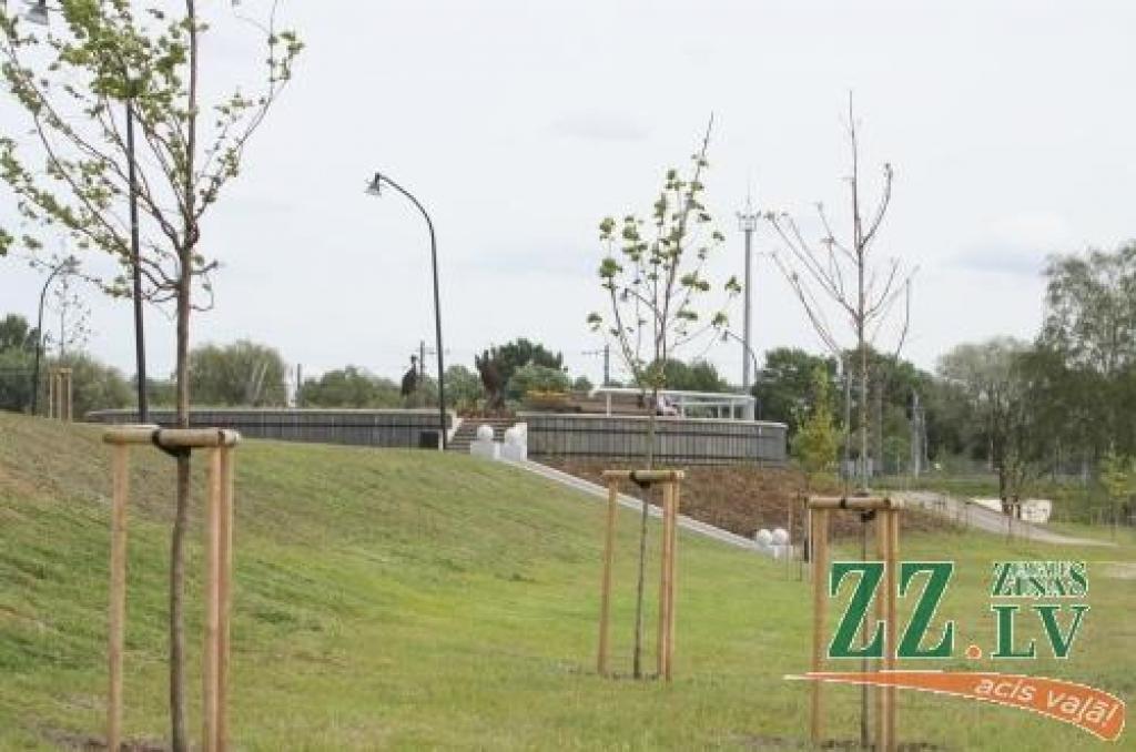 Autors: Armands Lazdiņš