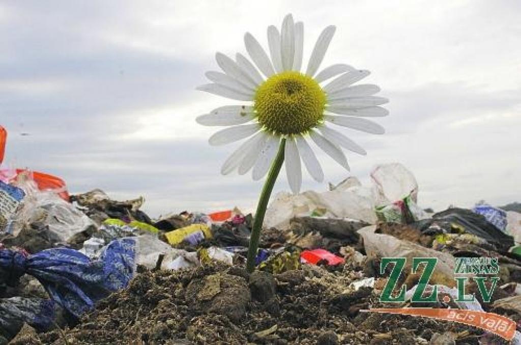 Autors: Agris Samcovs