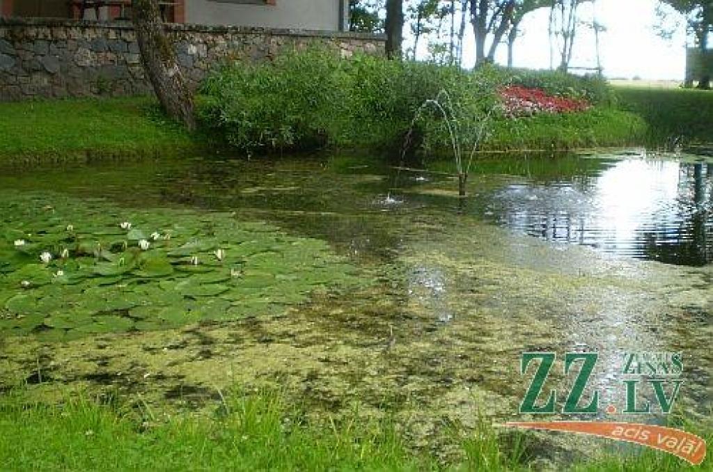 Autors: Edgars Kupčs