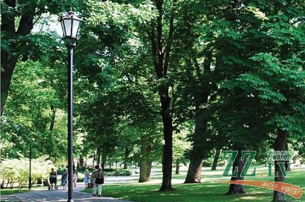 Autors: no LLU arhīva