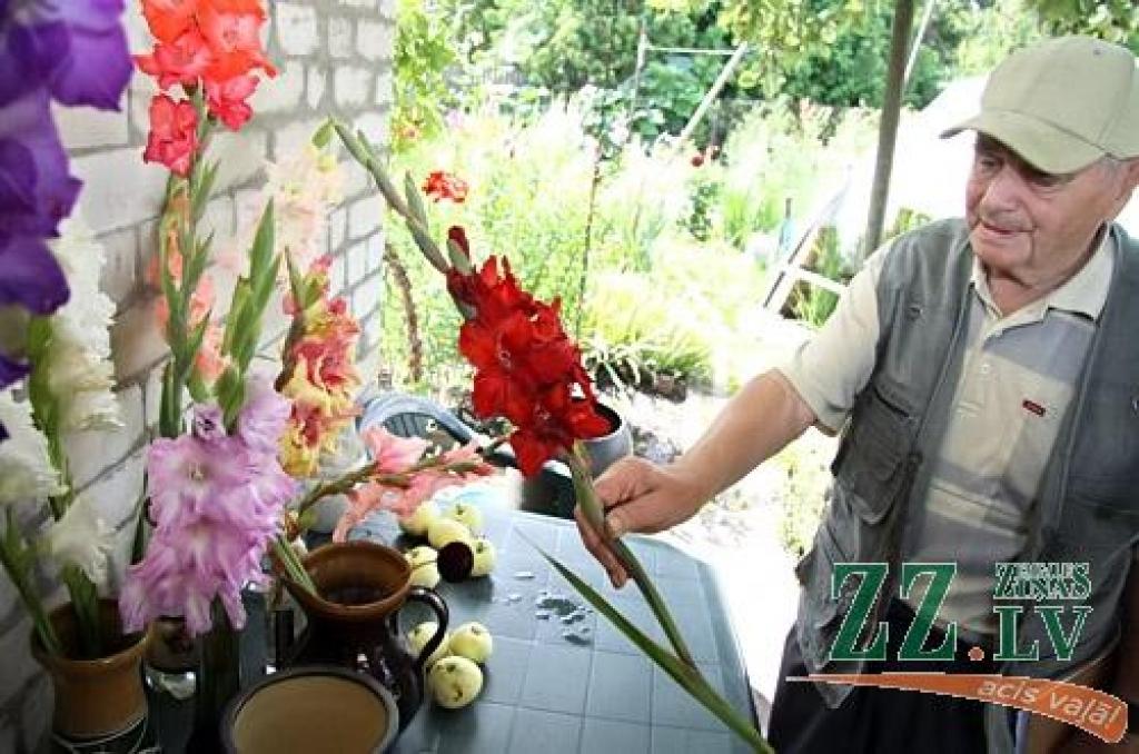 Autors: Agris Samcovs