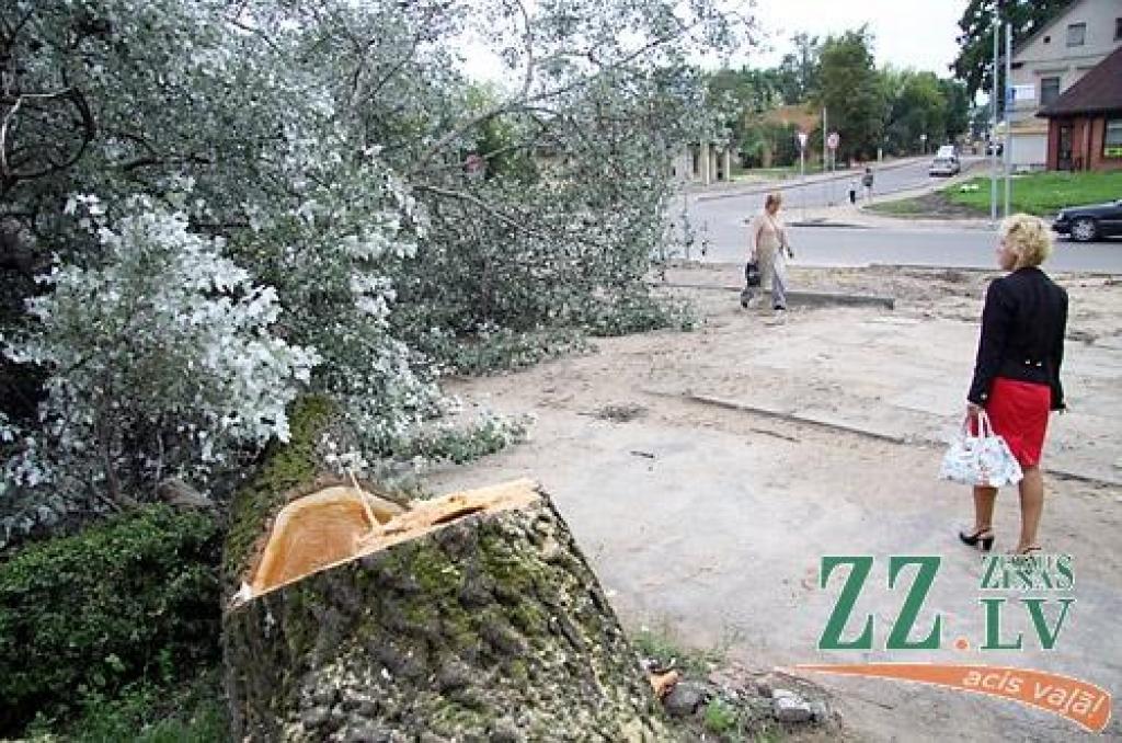 Autors: Agris Samcovs