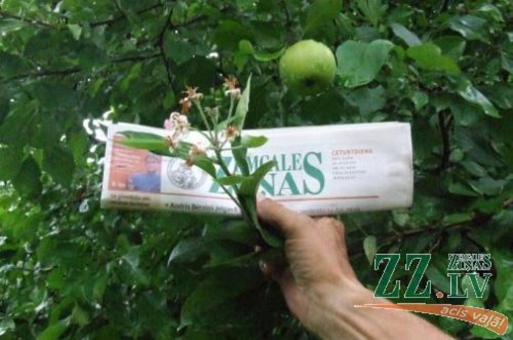 Autors: TVNET.lv «Latvijas Mobilais reportieris» Ingrīda