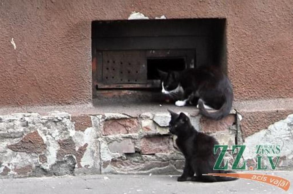 Autors: Agris Samcovs