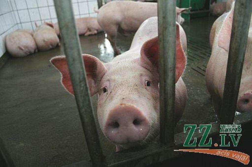 Autors: Agris Samcovs