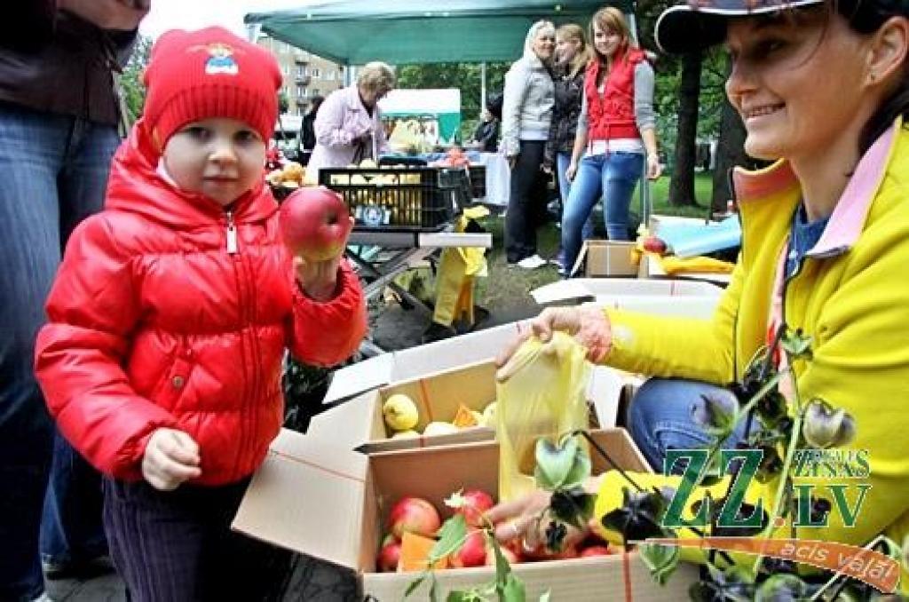 Līdz pašiem Miķeļiem gan vēl pusotra nedēļa, tomēr jelgavnieki nolēma daudz nekavēties un tradicionālo gadatirgu «Miķeļdienu gaidot!» Hercoga Jēkaba laukumā sarīkoja jau 17. septembrī – Saeimas ārkārtas vēlēšanu sestdienā. Droši vien tas...