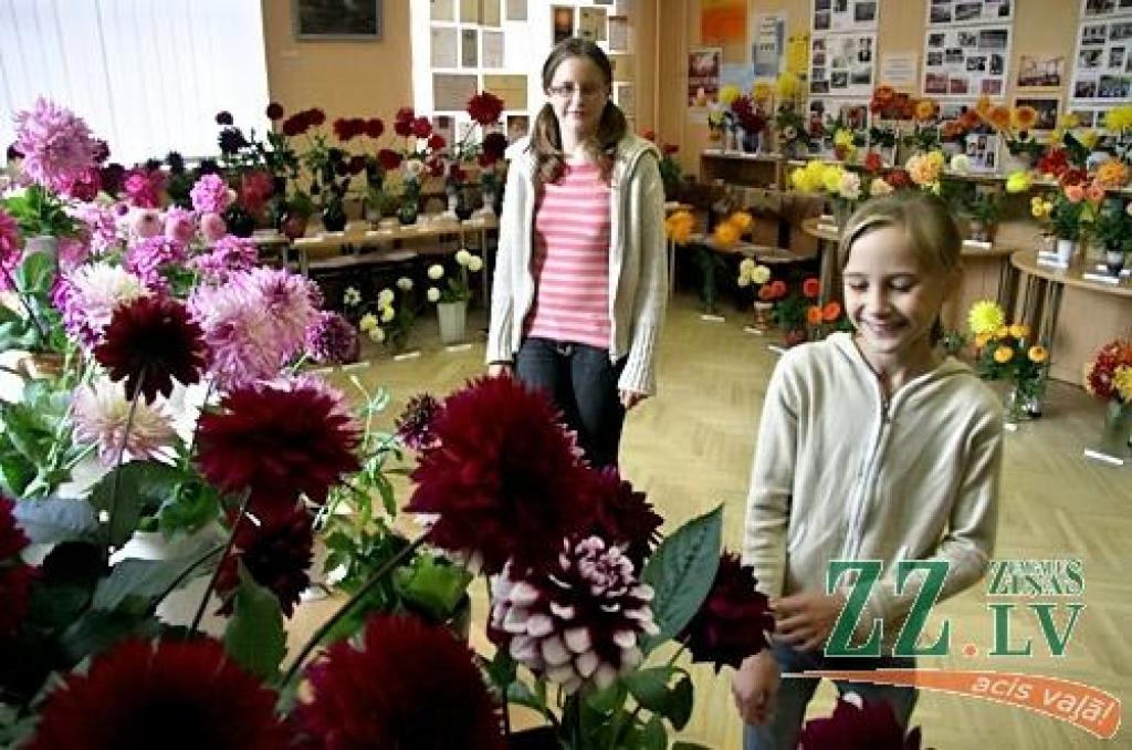 Kolekcijas autorei – Valsts ģimnāzijas direktora vietniecei izglītības darbā Aldai Spirģei – dālijas iepatikušās kā krāsās un formās ļoti daudzveidīgas puķes. «Neesmu selekcionāre, esmu kolekcionāre,» uzsver dāliju audzētāja. Lai...