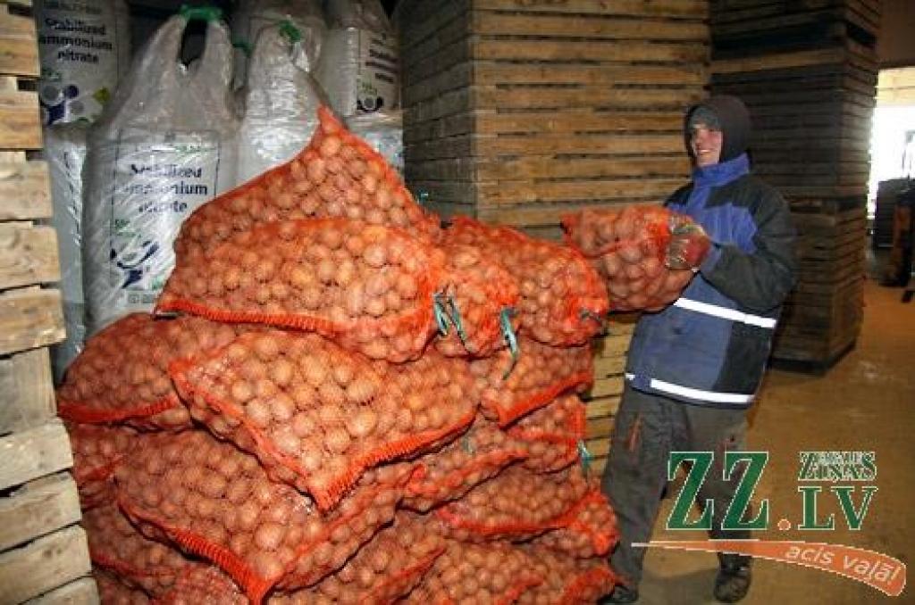 Autors: Agris Samcovs