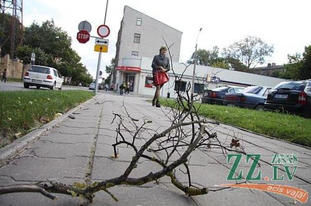 Autors: Agris Samcovs