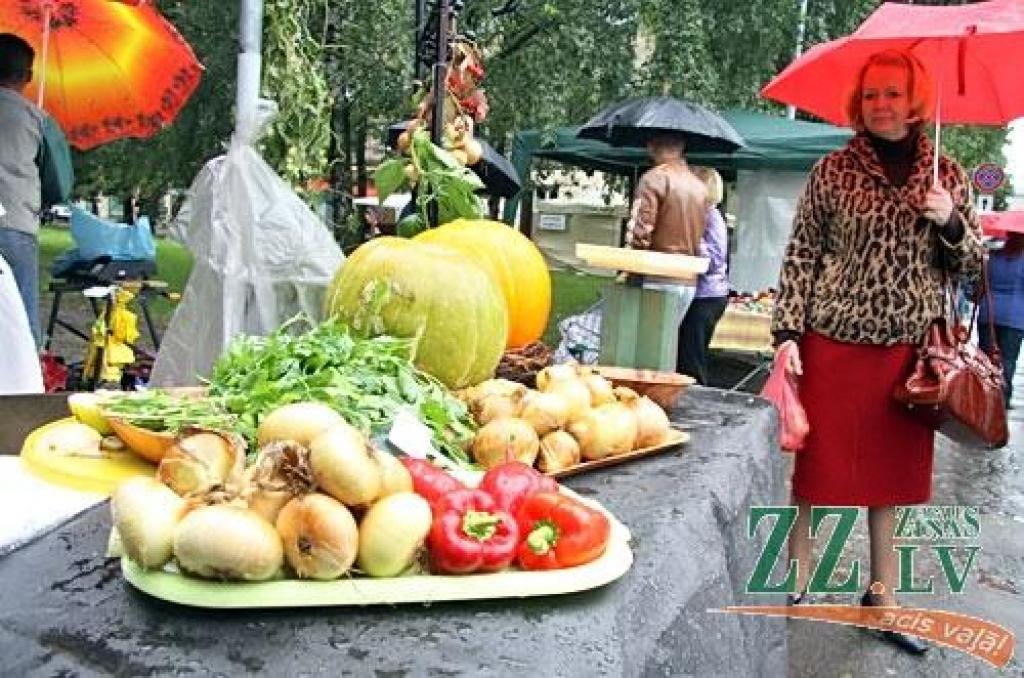 Autors: Agris Samcovs