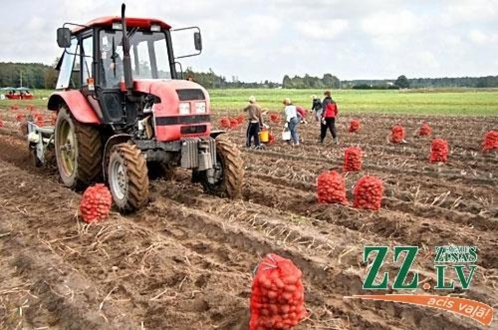 Autors: Agris Samcovs