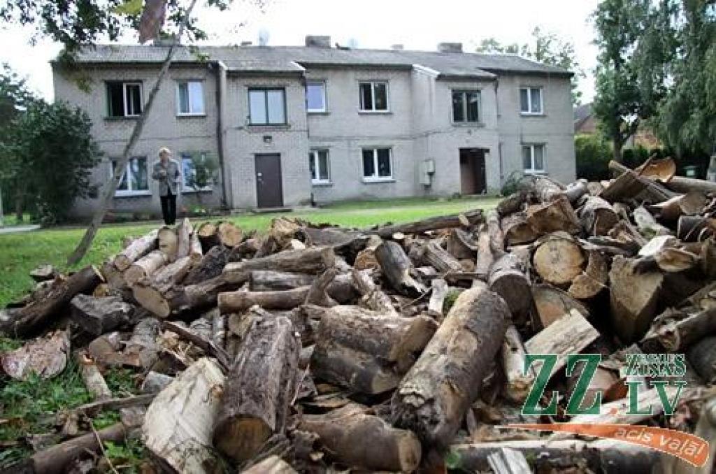 Koks bez zariem neaug – tā kāds Kalnciema puses mežsaimnieks atbildējis jelgavniecei Ludmilai Nečajai uz viņas nepatiku par sagādāto malku. Viņa to sauc par cinismu, jo sludinājumā tika solīta sausa un skaldīta malka, bet, tikai nesot to šķūnītī, atklājies – kaudzē ir daudz sprunguļu, sapuvušu koksnes gabaliņu, šķilu. 
Autors: Agris Samcovs