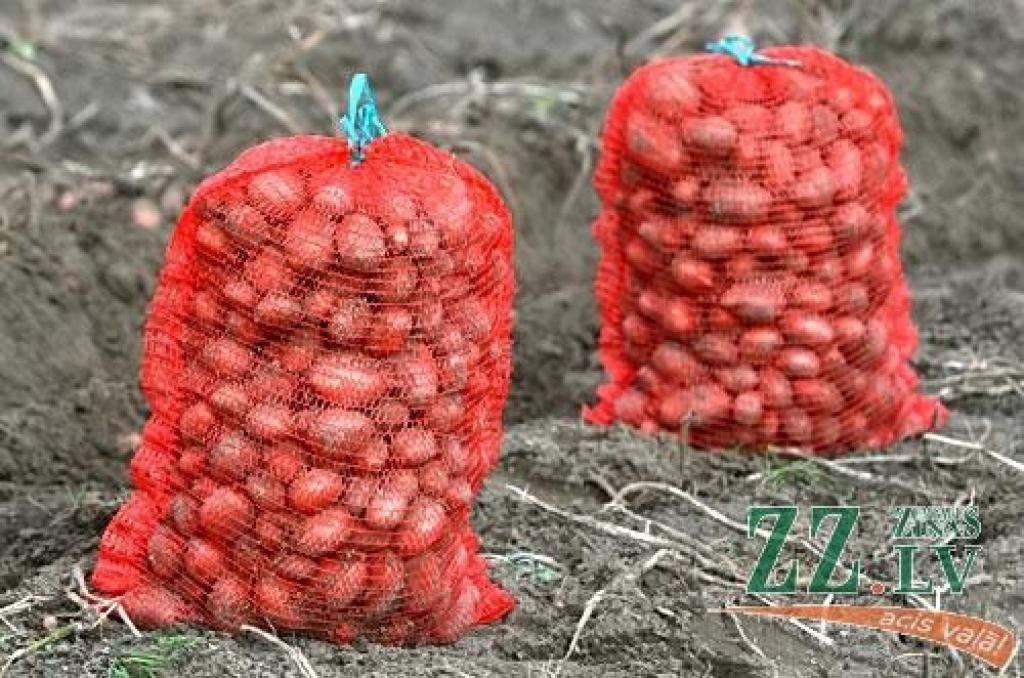 Autors: Agris Samcovs