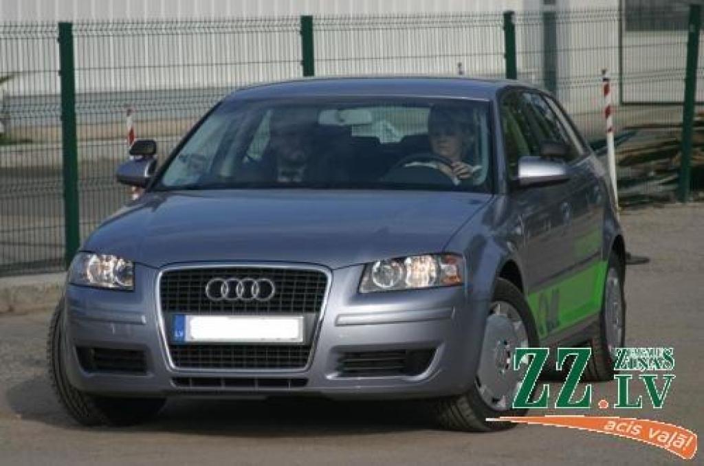 Autors: no ZZ arhīva