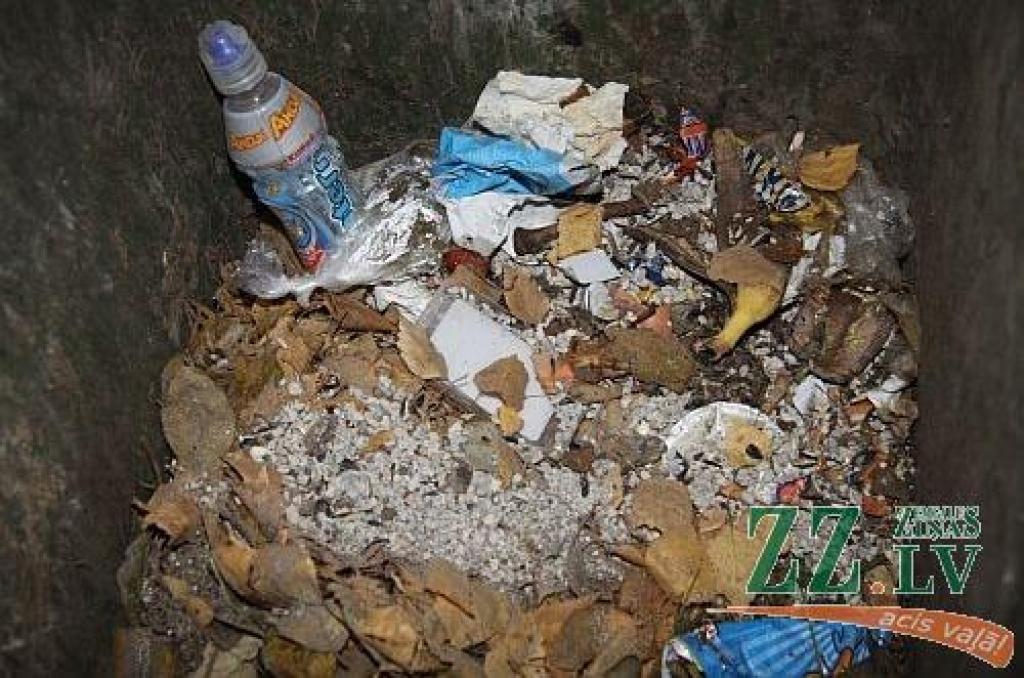 Autors: Agris Samcovs