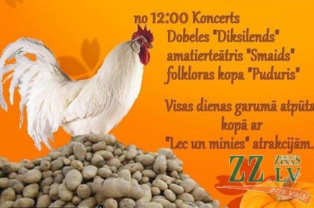 Autors: publicitātes attēls