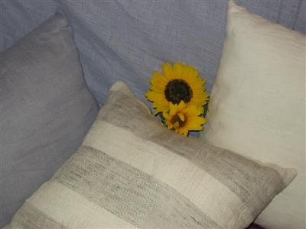 Autors: www.larelini.lv