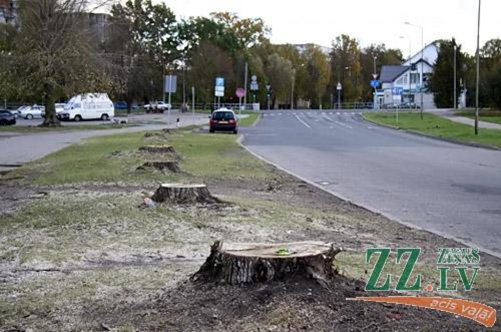 Autors: Agris Samcovs