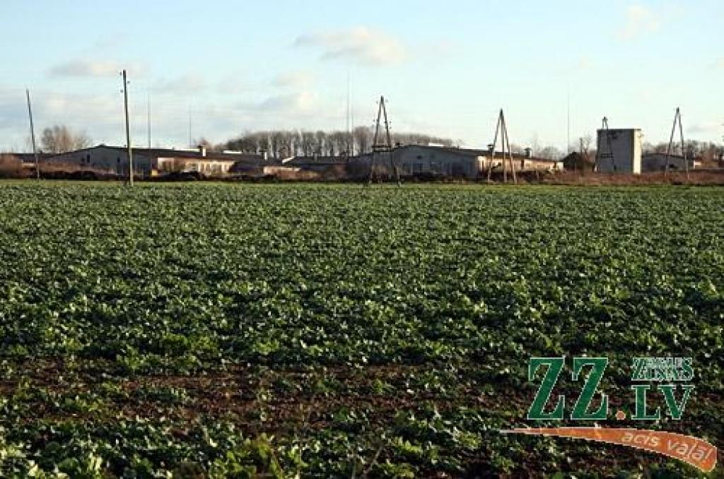 Zaļenieku pagasta pārvaldes vadītājs Ojārs Briedis stāsta, ka lēmums 1. decembrī pulksten 17.30 pagasta iedzīvotājus pulcināt vietējā kultūras namā pieņemts, jo cilvēkos aug neapmierinātība saistībā ar dāņu uzņēmumam piederošās Latvijas kompānijas «Econ» vēlmi kādreizējā lopu kompleksā izbūvēt cūku fermas. 
Autors: Agris Samcovs