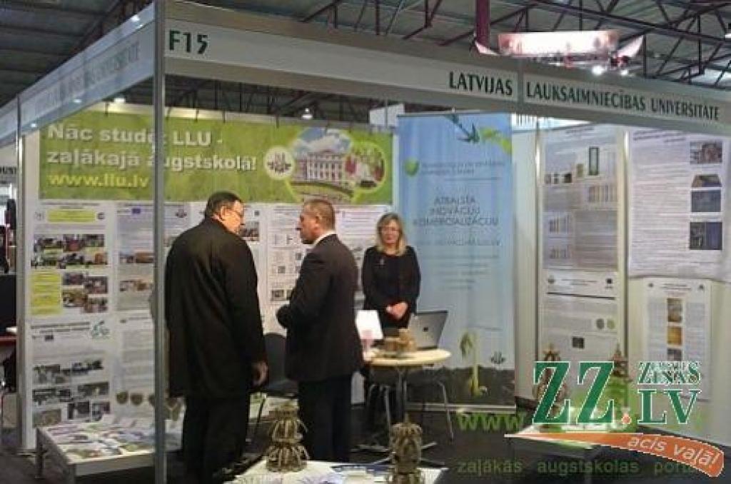 Autors: Sandra Muižniece–Brasava