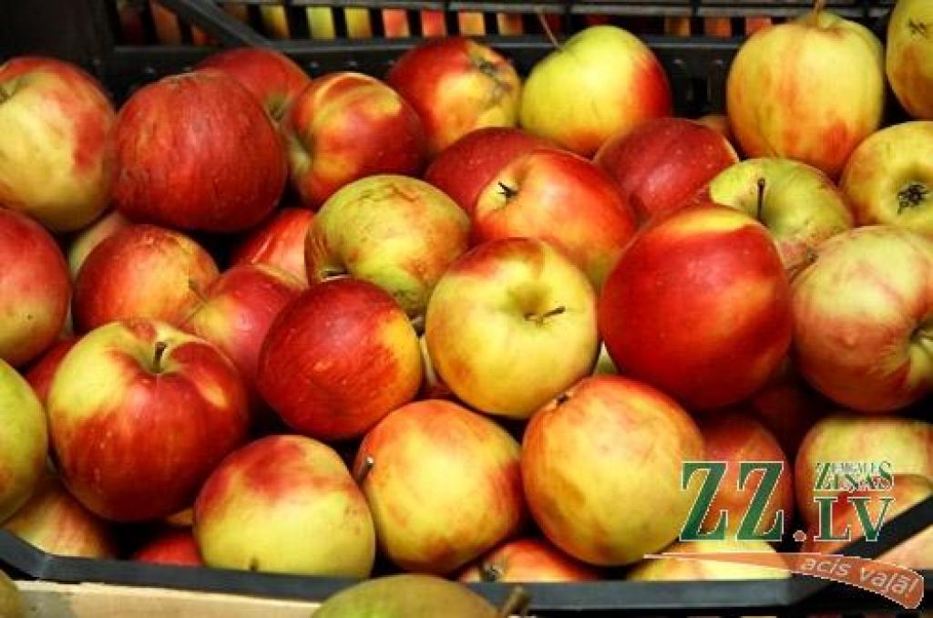 Autors: Agris Samcovs