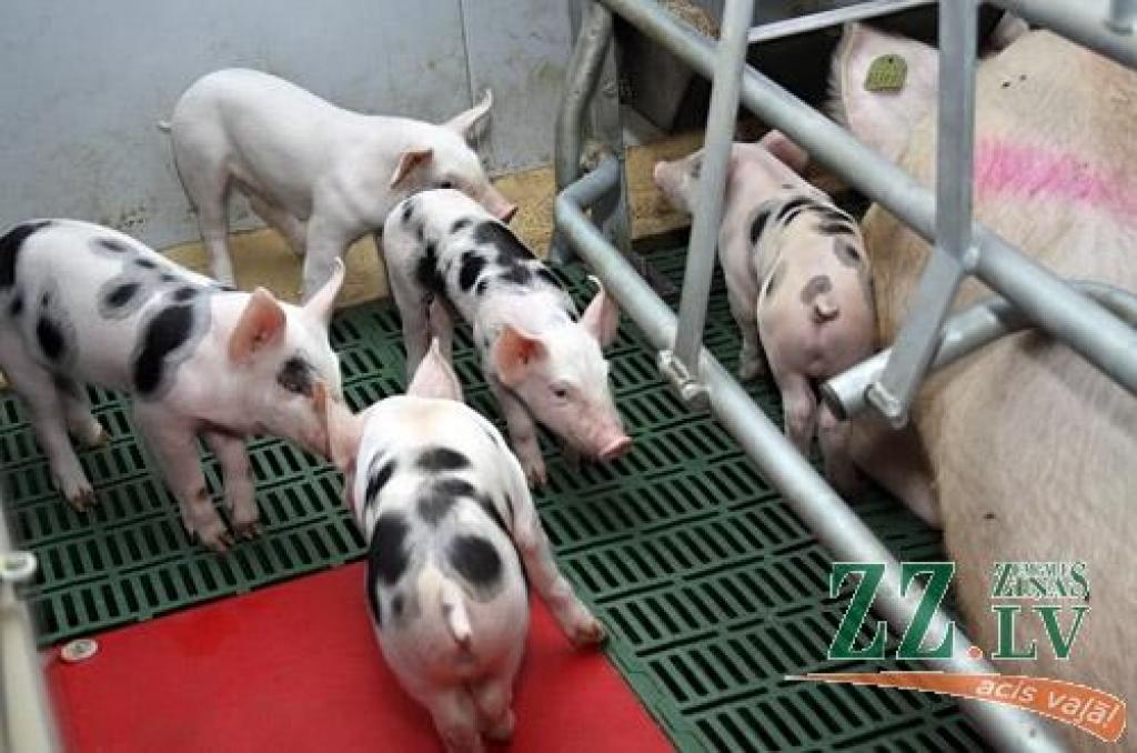 Autors: Agris Samcovs