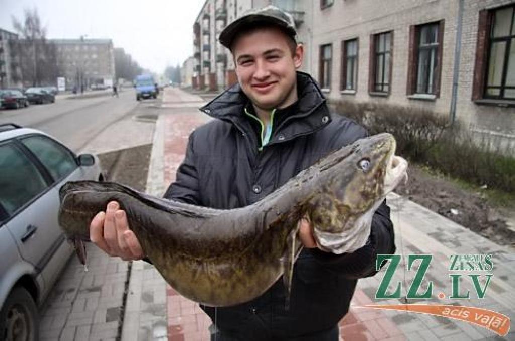 Autors: Agris Samcovs