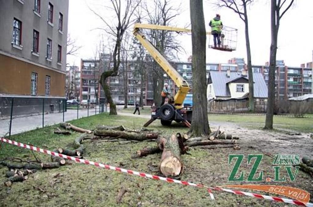 Autors: Agris Samcovs