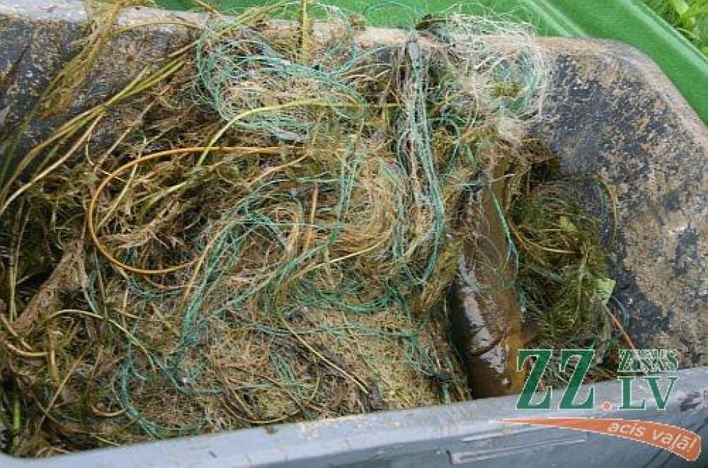 Autors: Edgars Kupčs