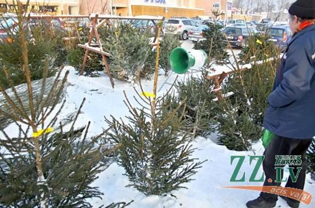 Autors: Agris Samcovs