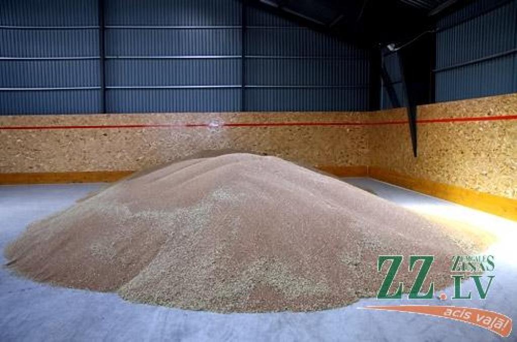 Autors: Agris Samcovs