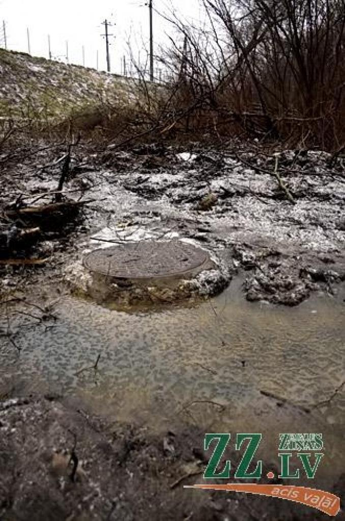 Autors: Agris Samcovs