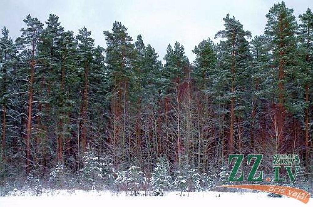 Autors: Agris Samcovs