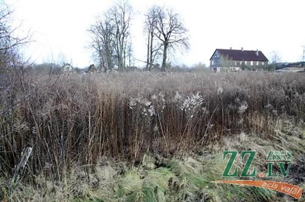 Autors: Agris Samcovs