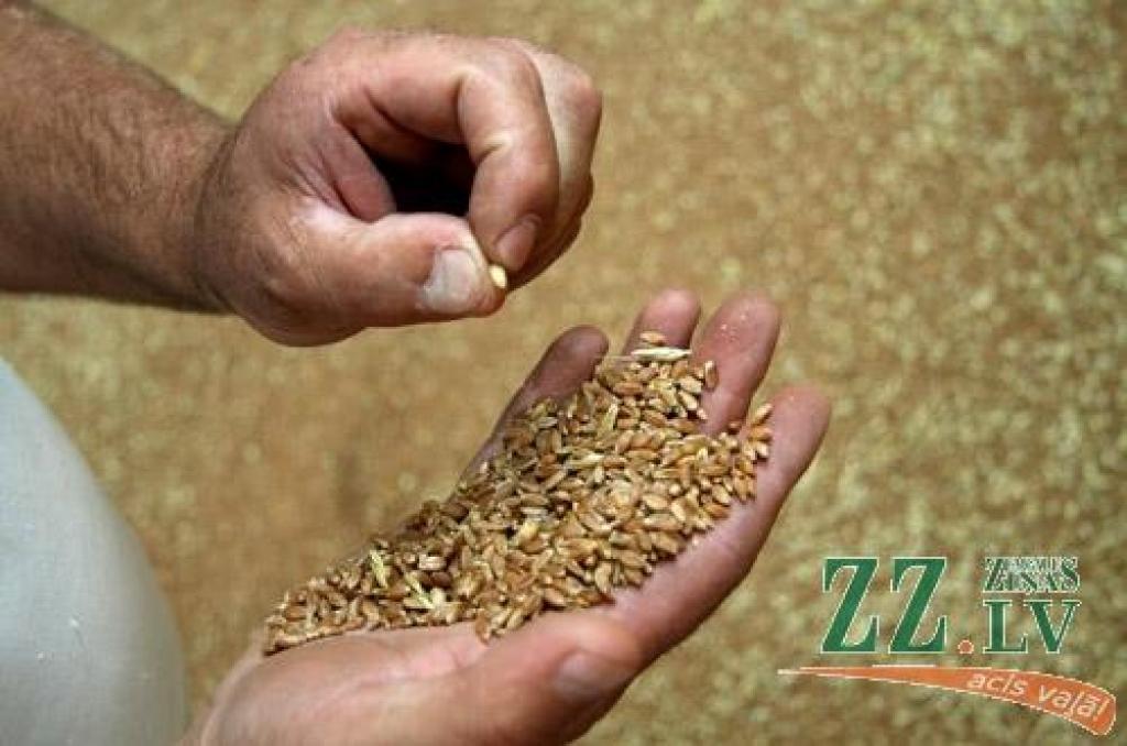 Autors: Agris Samcovs